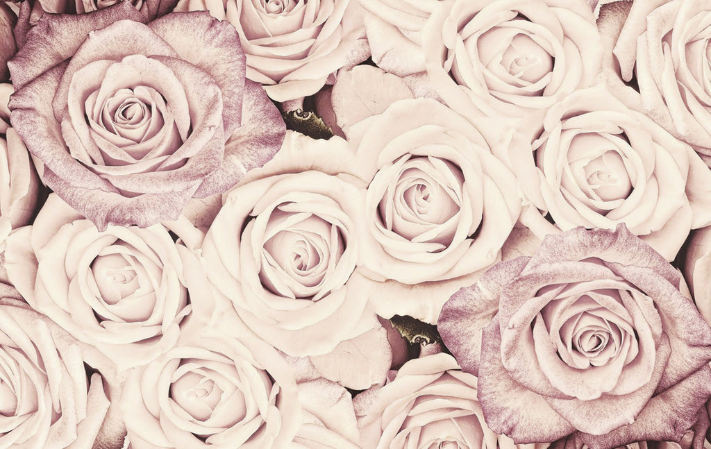 WEDDING CROWNS (STEFANA)